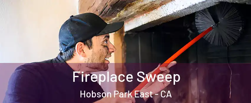 Fireplace Sweep Hobson Park East - CA