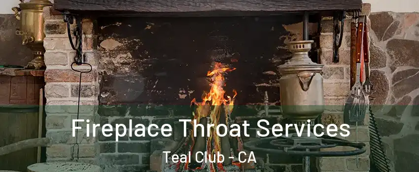 Fireplace Throat Services Teal Club - CA