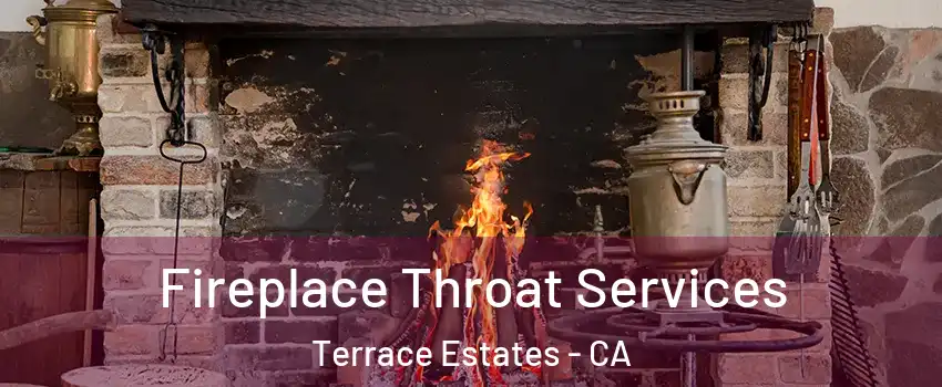 Fireplace Throat Services Terrace Estates - CA