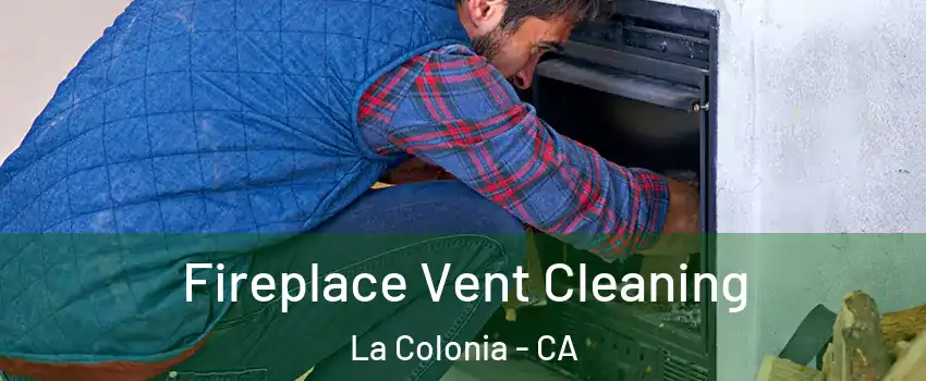 Fireplace Vent Cleaning La Colonia - CA