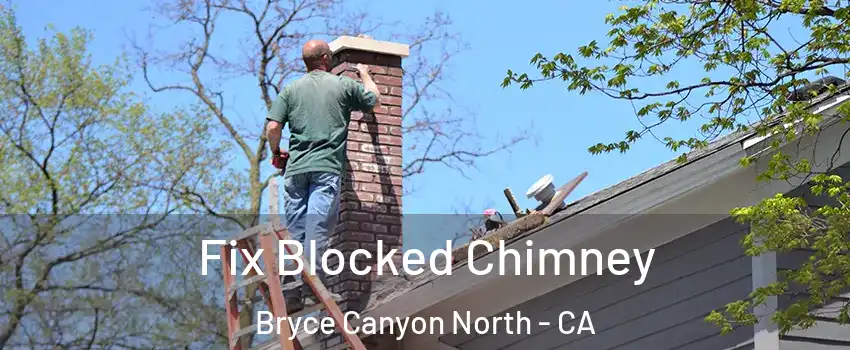 Fix Blocked Chimney Bryce Canyon North - CA
