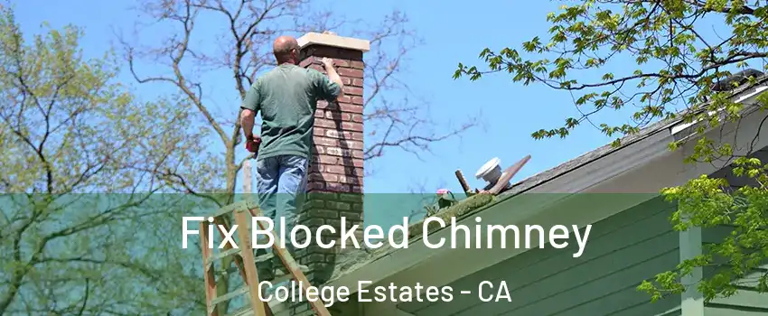 Fix Blocked Chimney College Estates - CA