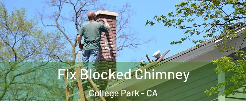 Fix Blocked Chimney College Park - CA