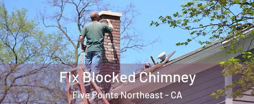 Fix Blocked Chimney Five Points Northeast - CA