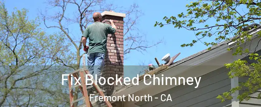 Fix Blocked Chimney Fremont North - CA