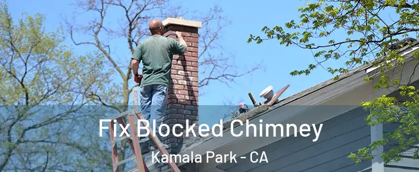 Fix Blocked Chimney Kamala Park - CA