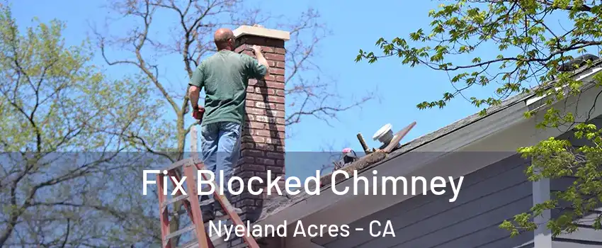 Fix Blocked Chimney Nyeland Acres - CA