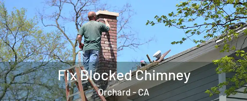 Fix Blocked Chimney Orchard - CA
