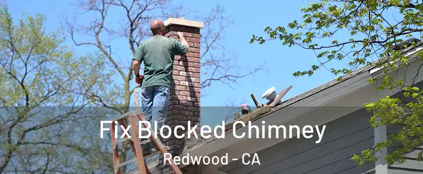 Fix Blocked Chimney Redwood - CA