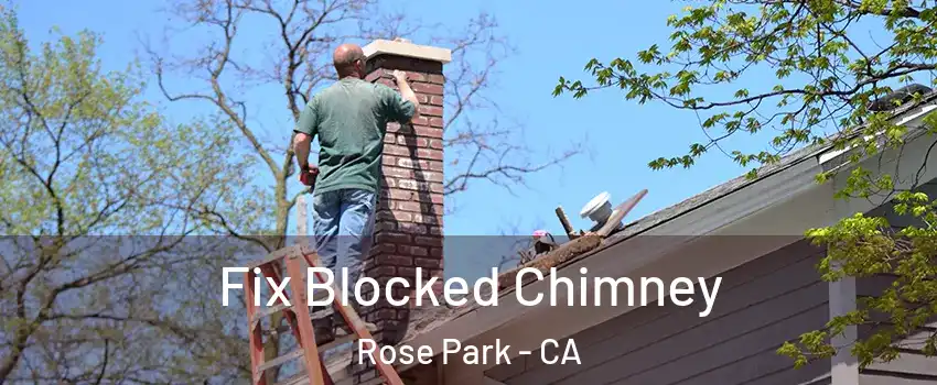 Fix Blocked Chimney Rose Park - CA