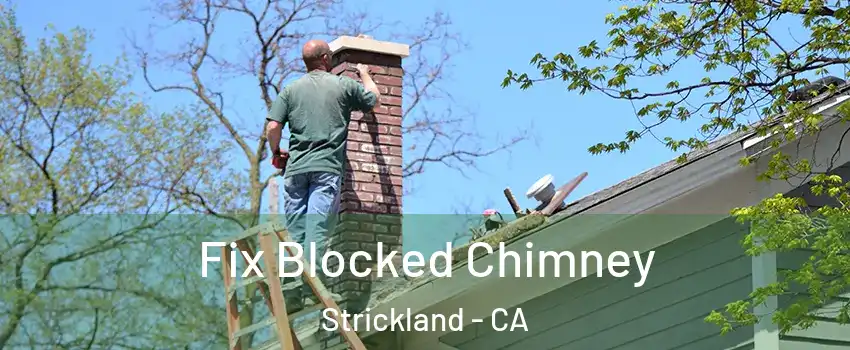 Fix Blocked Chimney Strickland - CA