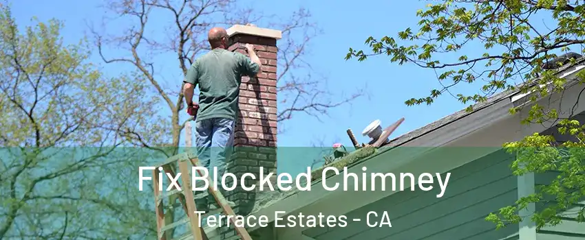 Fix Blocked Chimney Terrace Estates - CA