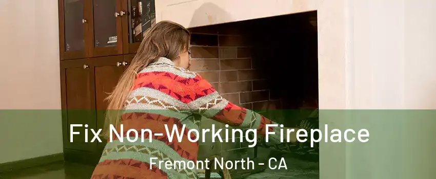 Fix Non-Working Fireplace Fremont North - CA