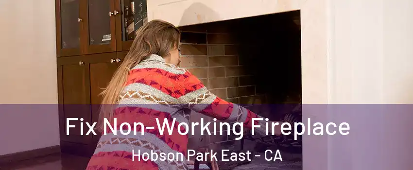 Fix Non-Working Fireplace Hobson Park East - CA
