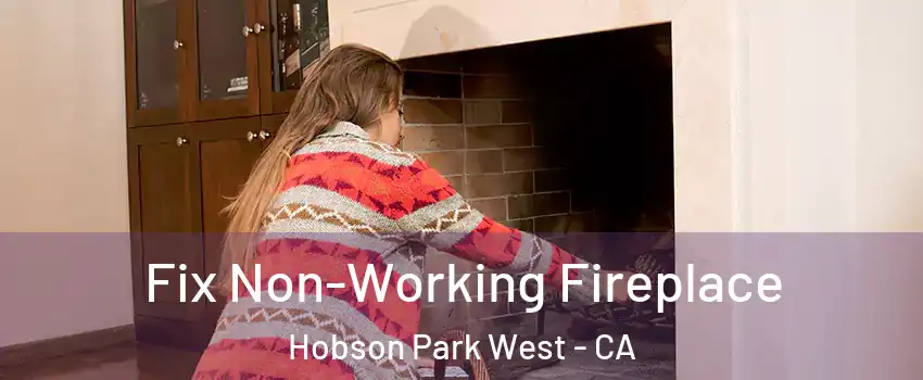 Fix Non-Working Fireplace Hobson Park West - CA