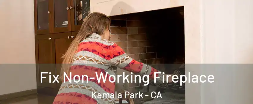 Fix Non-Working Fireplace Kamala Park - CA