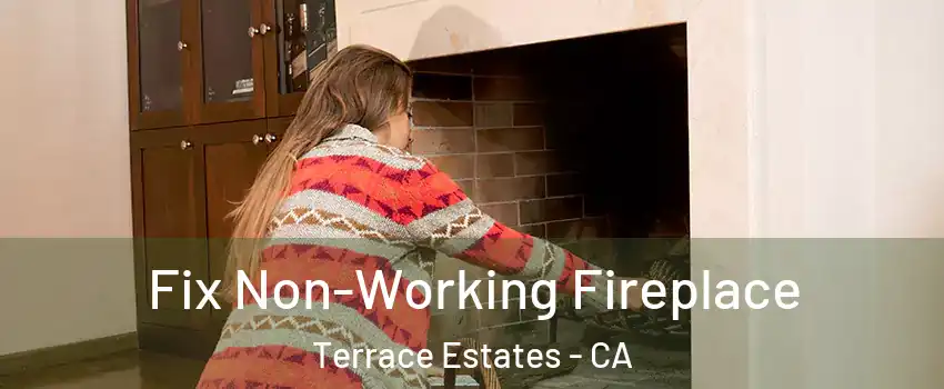 Fix Non-Working Fireplace Terrace Estates - CA