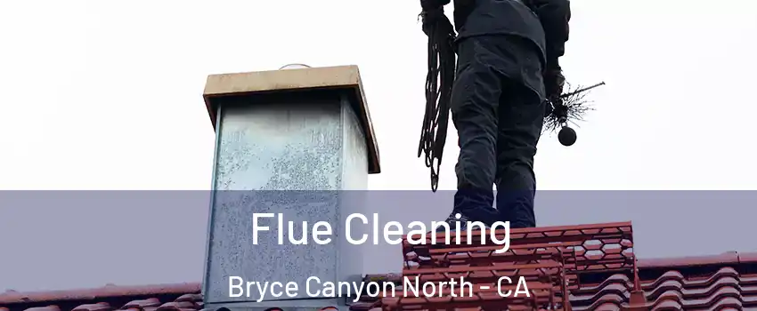 Flue Cleaning Bryce Canyon North - CA