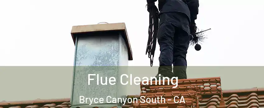 Flue Cleaning Bryce Canyon South - CA