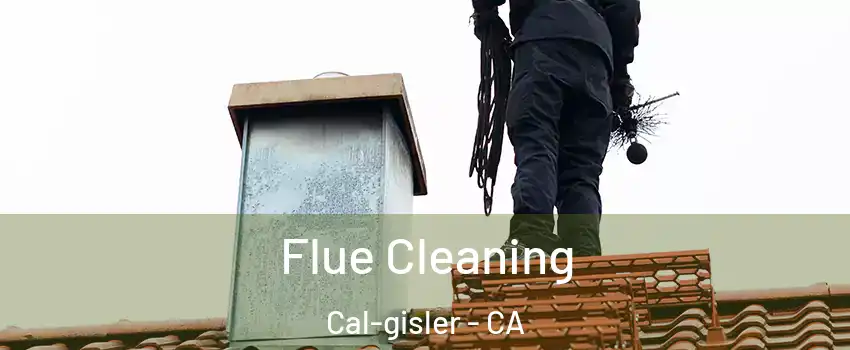 Flue Cleaning Cal-gisler - CA