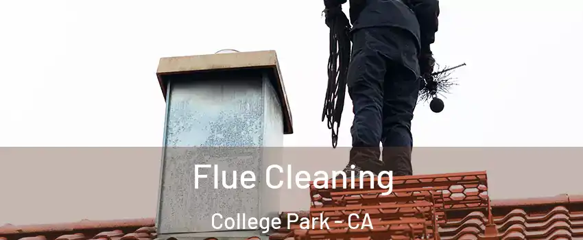 Flue Cleaning College Park - CA