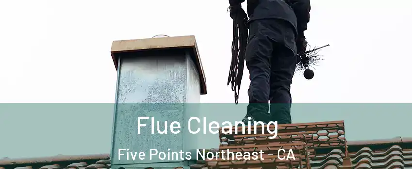 Flue Cleaning Five Points Northeast - CA