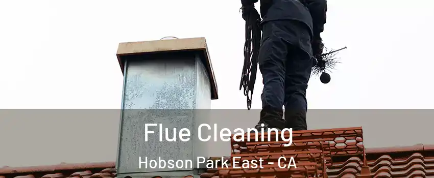 Flue Cleaning Hobson Park East - CA