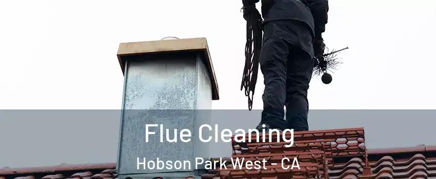 Flue Cleaning Hobson Park West - CA