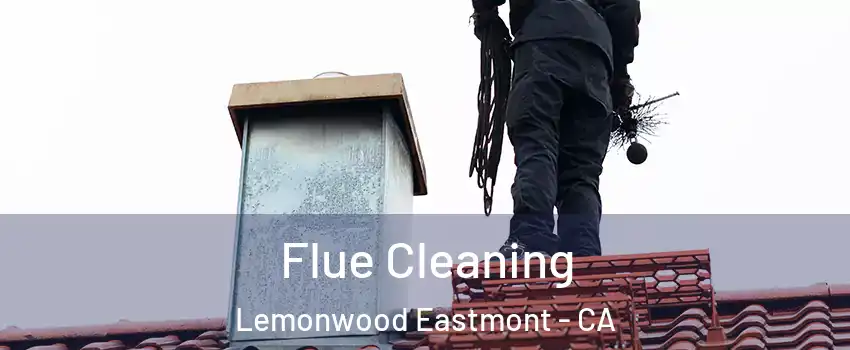 Flue Cleaning Lemonwood Eastmont - CA