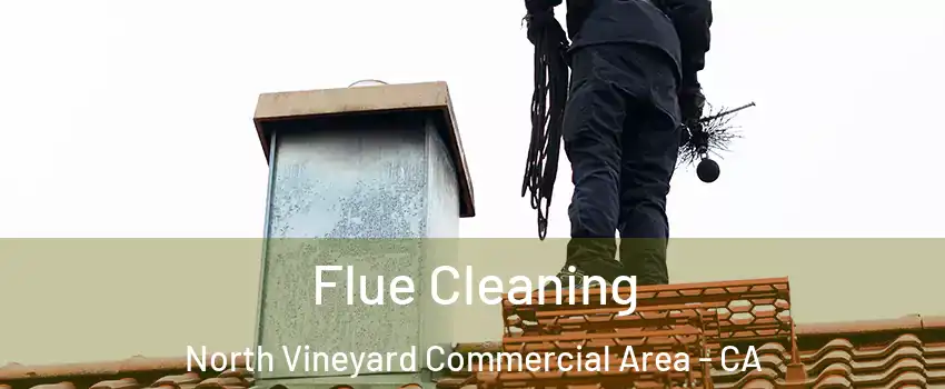 Flue Cleaning North Vineyard Commercial Area - CA