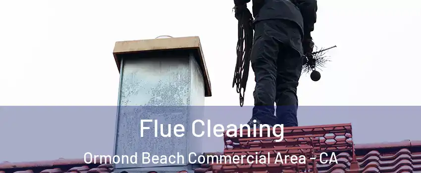 Flue Cleaning Ormond Beach Commercial Area - CA