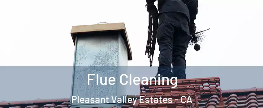 Flue Cleaning Pleasant Valley Estates - CA
