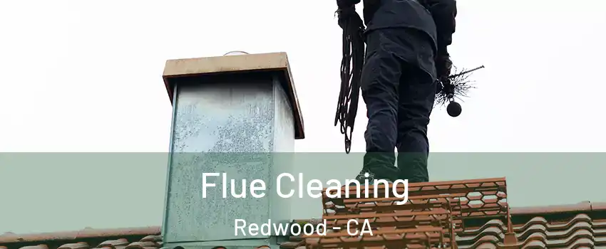 Flue Cleaning Redwood - CA