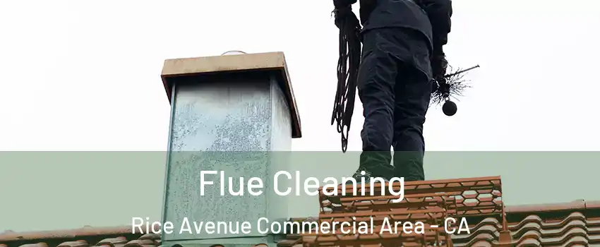 Flue Cleaning Rice Avenue Commercial Area - CA