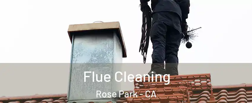 Flue Cleaning Rose Park - CA
