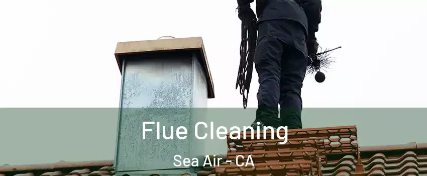 Flue Cleaning Sea Air - CA