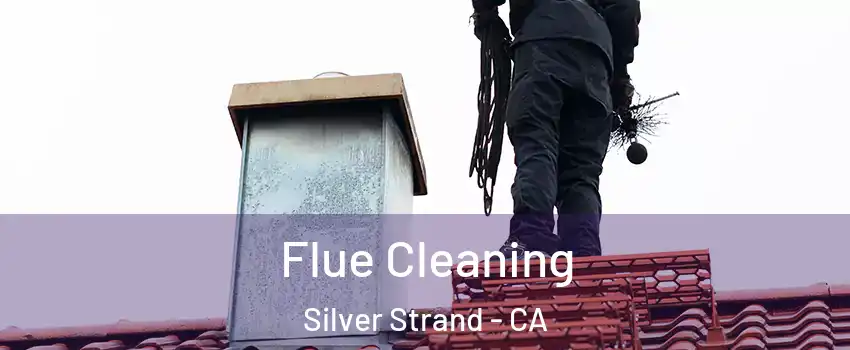 Flue Cleaning Silver Strand - CA
