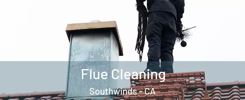 Flue Cleaning Southwinds - CA