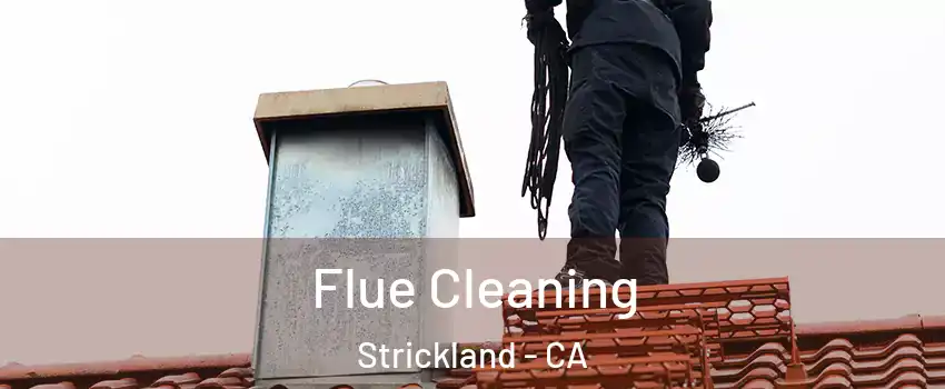 Flue Cleaning Strickland - CA