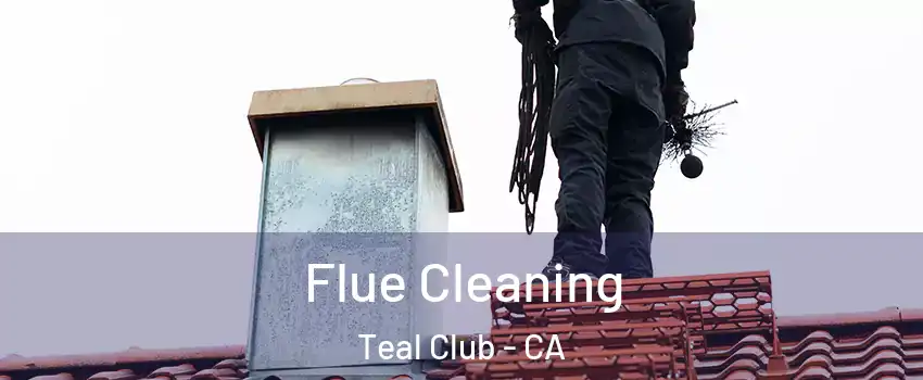 Flue Cleaning Teal Club - CA