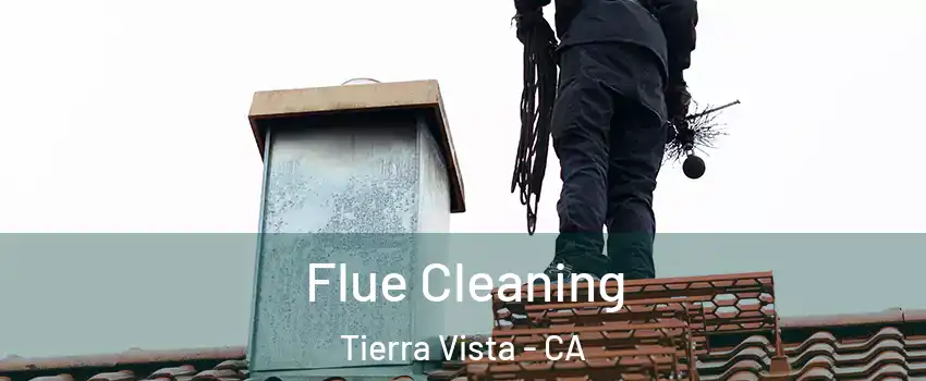 Flue Cleaning Tierra Vista - CA