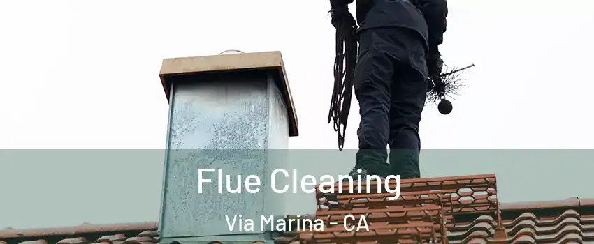 Flue Cleaning Via Marina - CA