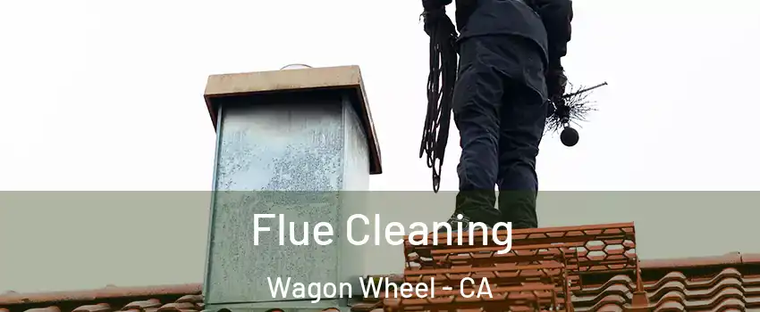 Flue Cleaning Wagon Wheel - CA