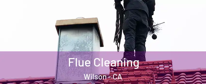 Flue Cleaning Wilson - CA