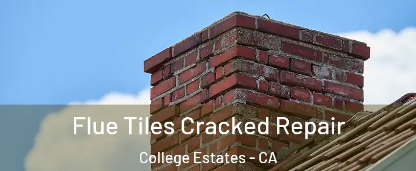 Flue Tiles Cracked Repair College Estates - CA
