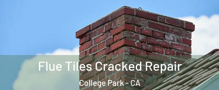 Flue Tiles Cracked Repair College Park - CA