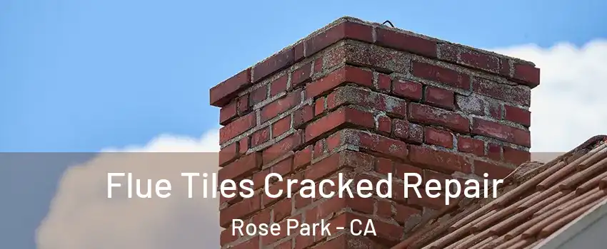 Flue Tiles Cracked Repair Rose Park - CA