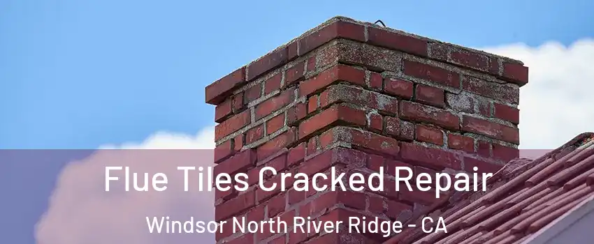 Flue Tiles Cracked Repair Windsor North River Ridge - CA