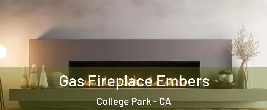 Gas Fireplace Embers College Park - CA
