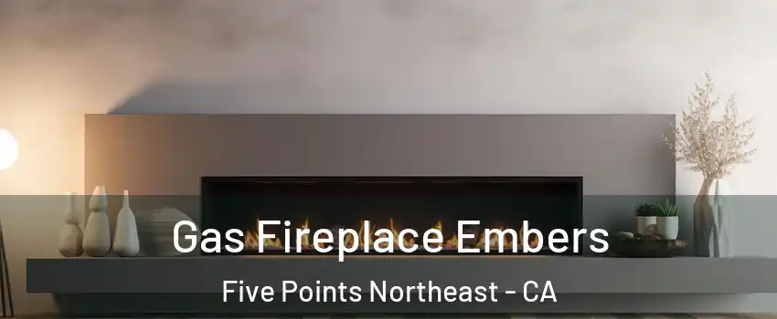 Gas Fireplace Embers Five Points Northeast - CA